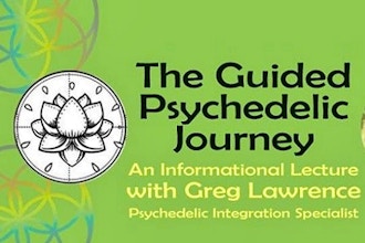 The Guided Psychedelic Journey